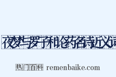 夜梦与罗子和论药名诗近义词是什么意思的图片